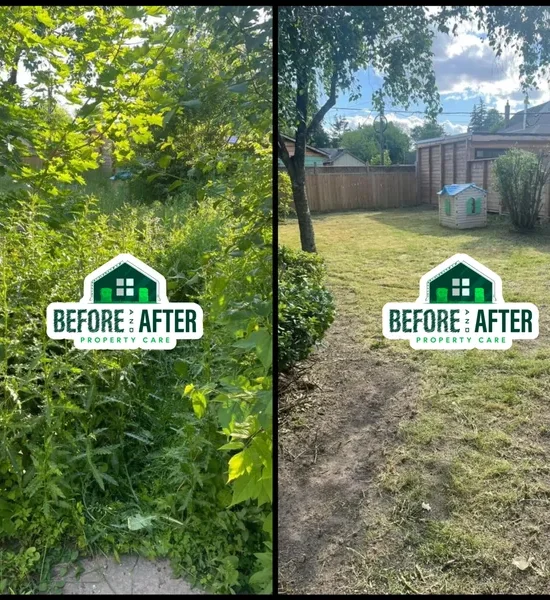 rs=w_600,cg_true (2)