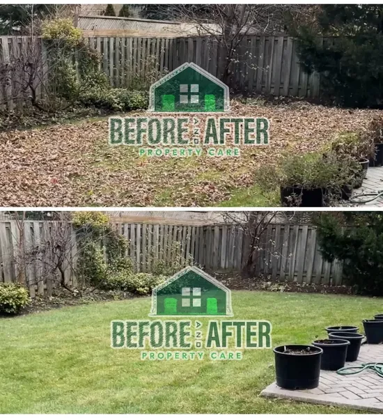 rs=w_600,cg_true (4)