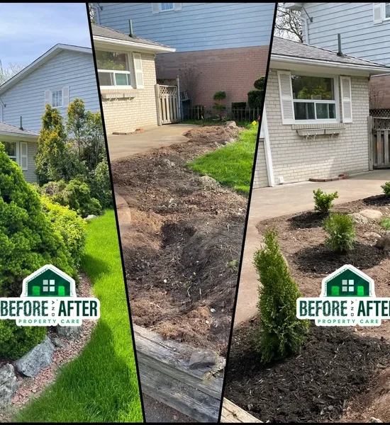 rs=w_600,cg_true (5)