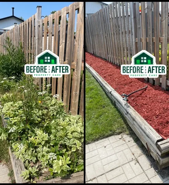 rs=w_600,cg_true (7)