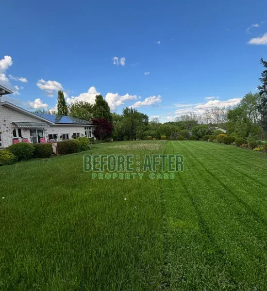 rs=w_600,cg_true,m (2)