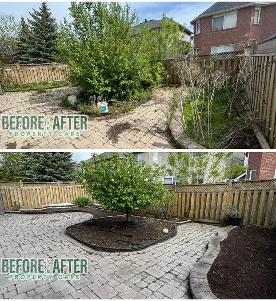 rs=w_600,cg_true,m (3)