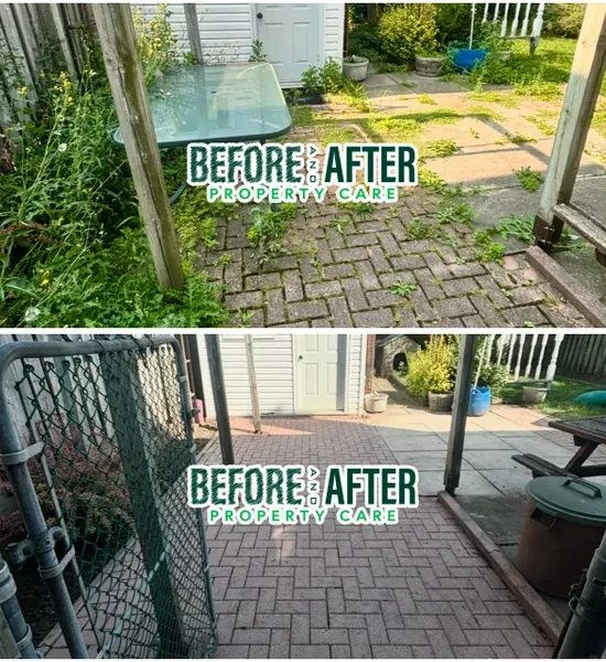 rs=w_600,cg_true,m (4)